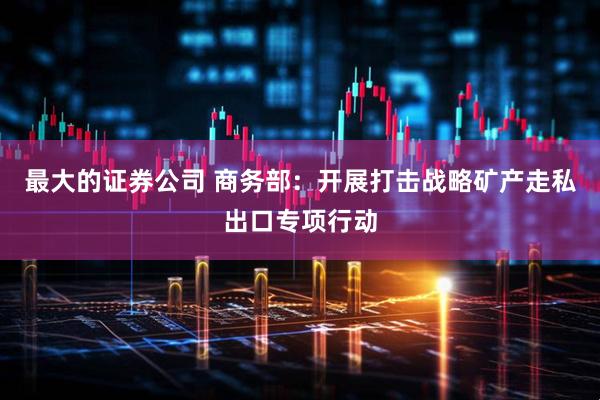最大的证券公司 商务部：开展打击战略矿产走私出口专项行动
