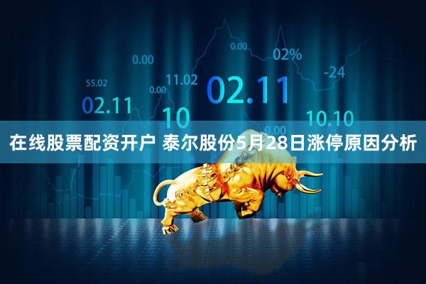在线股票配资开户 泰尔股份5月28日涨停原因分析