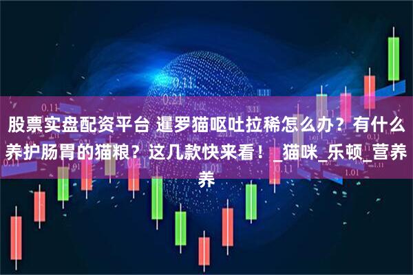 股票实盘配资平台 暹罗猫呕吐拉稀怎么办？有什么养护肠胃的猫粮？这几款快来看！_猫咪_乐顿_营养
